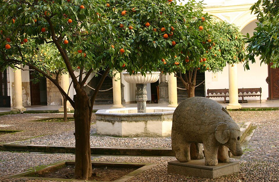 Patio de los Naranjos   La Mezquita   Córdoba