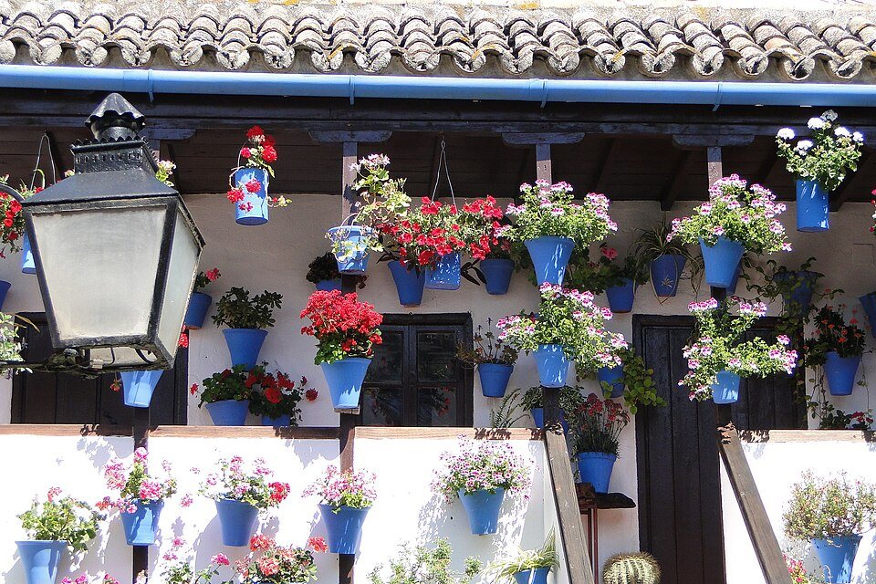 Flower Laden Patio   Cordoba, Spain