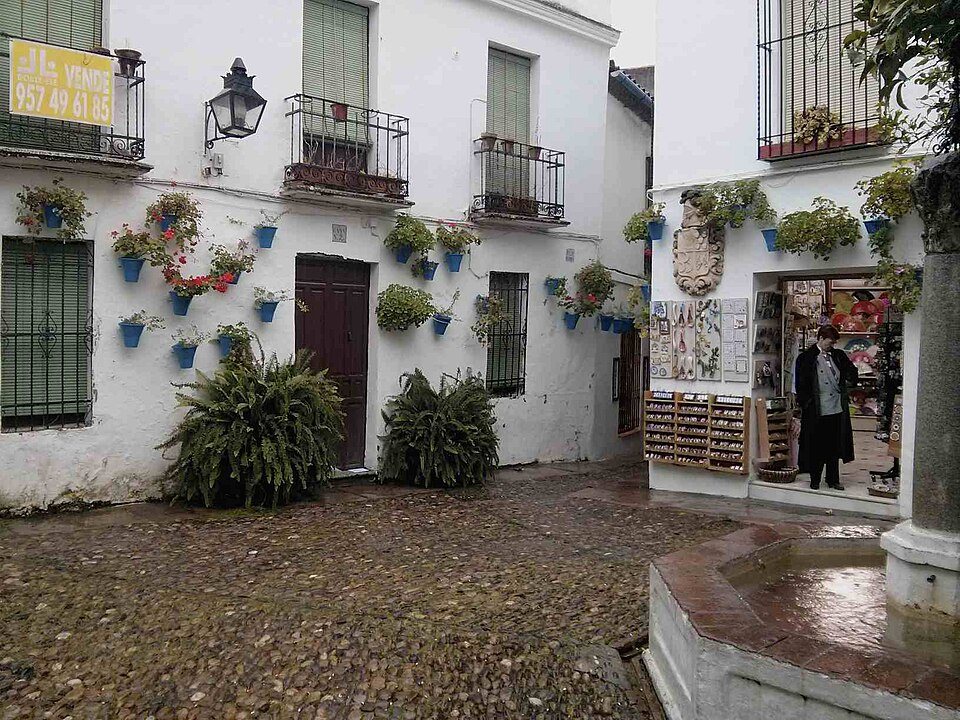 Calleja de las Flores (14814553619)