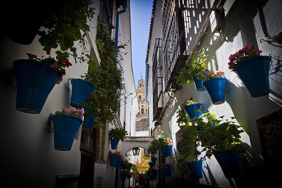 Calleja de las Flores 002