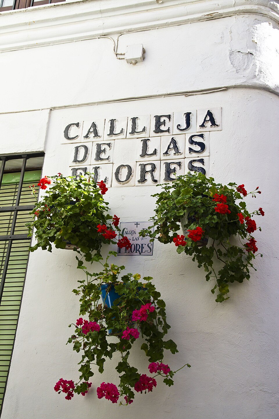 Calleja de las Flores