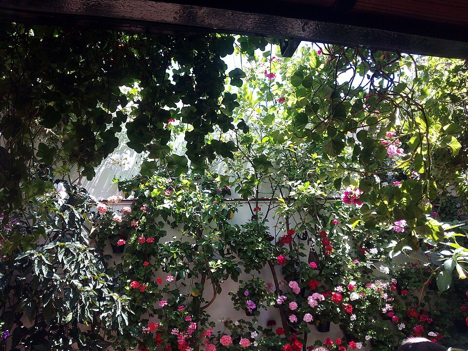 The Patios of San Basilio